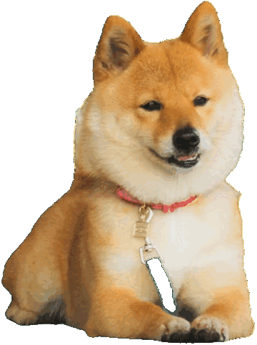 AI咪咪